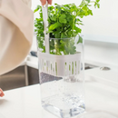 Kit 2 Organizadores para Temperos 1,5L e 2,3L - Refinado Lar